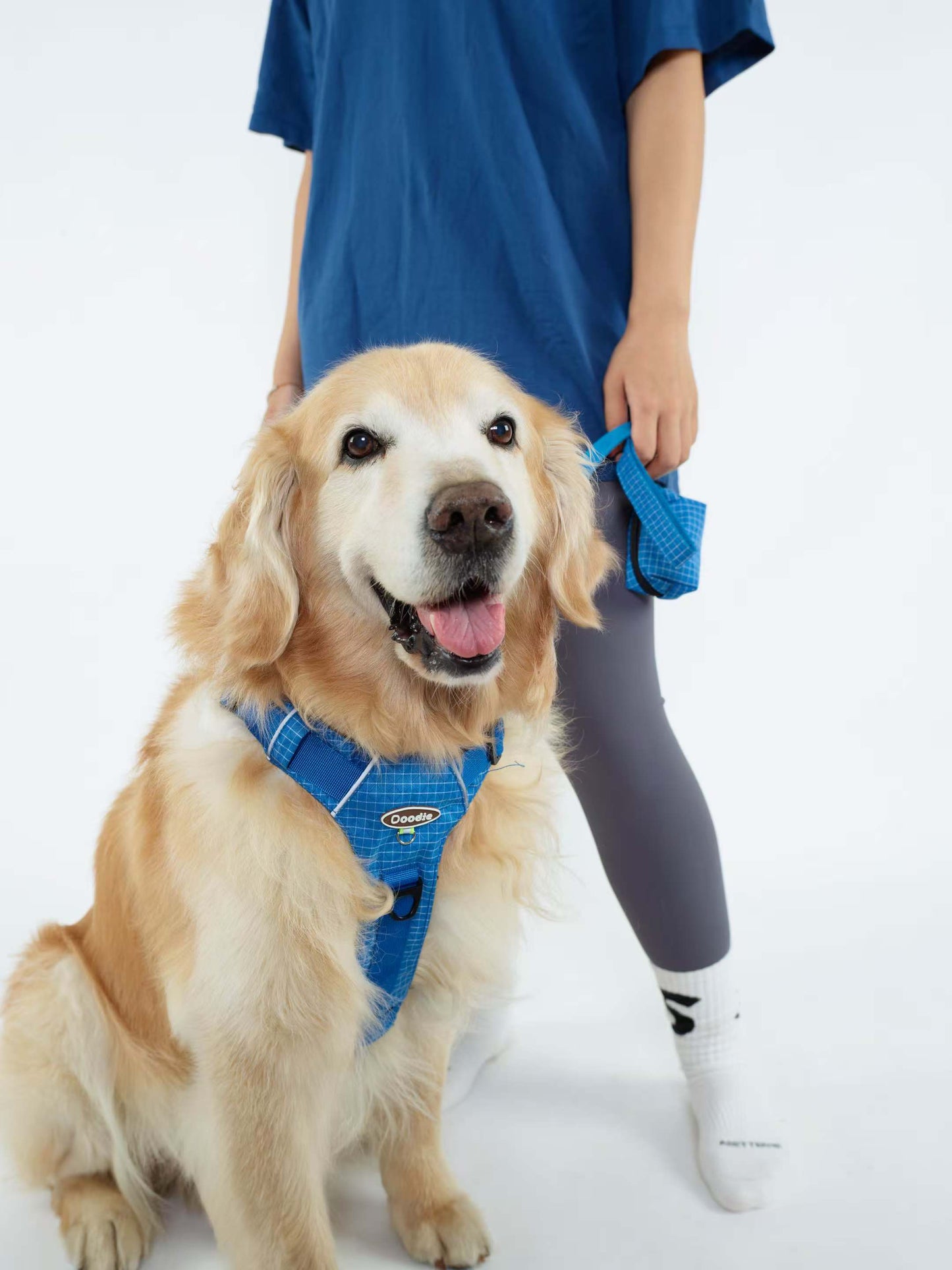 TrailTough Trio Dog Harness Set