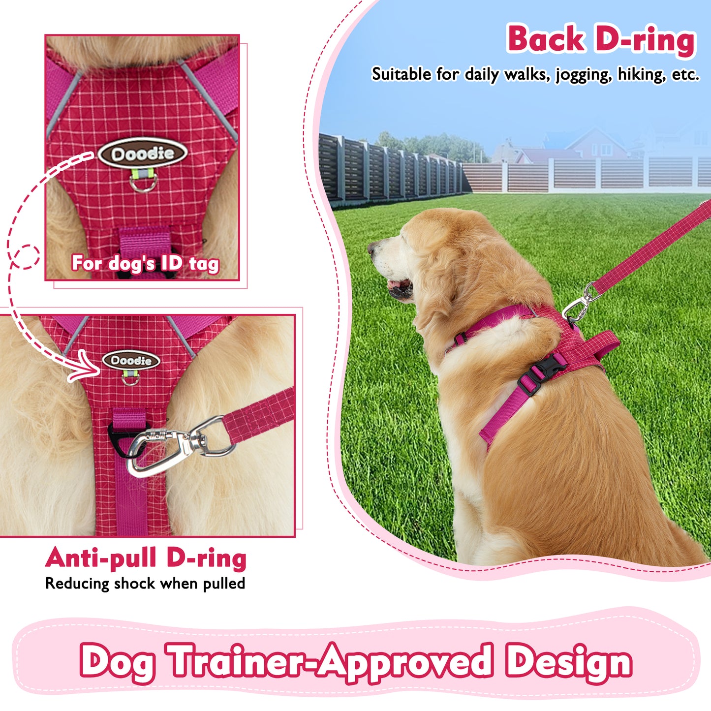 TrailTough Trio Dog Harness Set