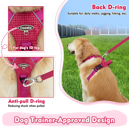 TrailTough Trio Dog Harness Set
