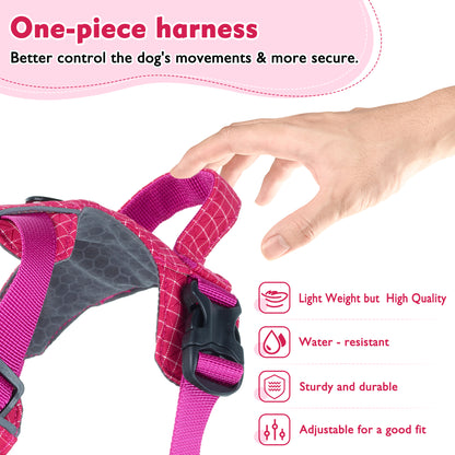 TrailTough Trio Dog Harness Set