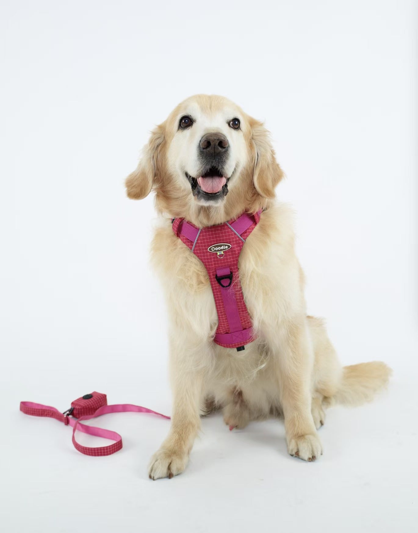 TrailTough Trio Dog Harness Set