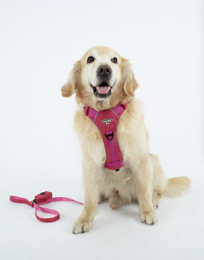 TrailTough Trio Dog Harness Set