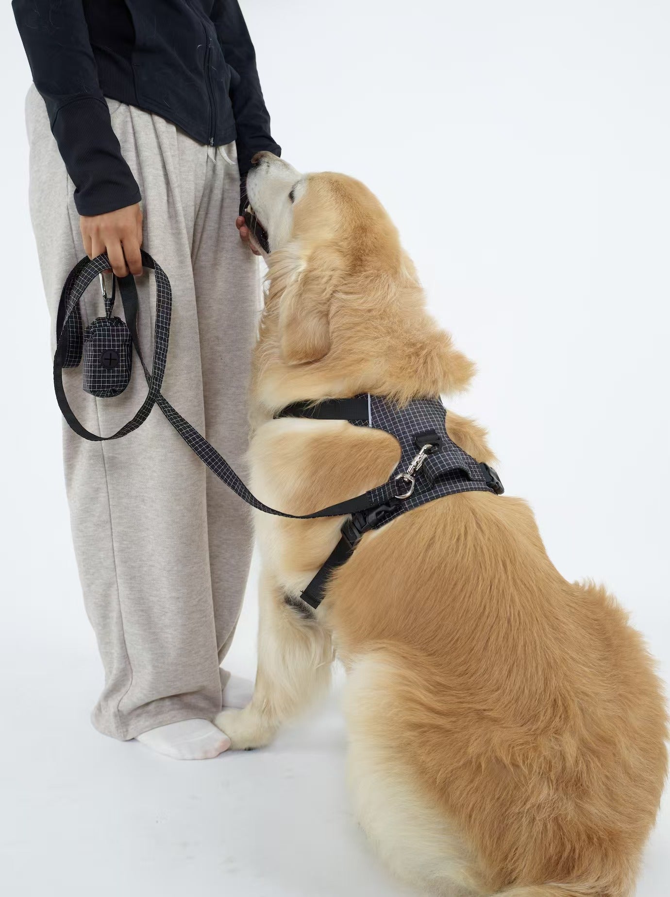 TrailTough Trio Dog Harness Set