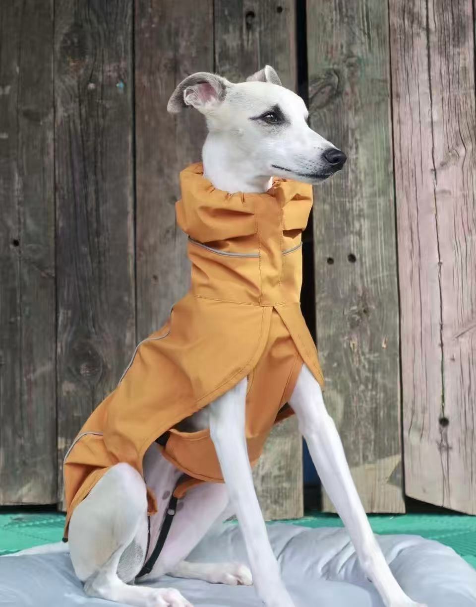 Pawos Archive · Dog Raincoat