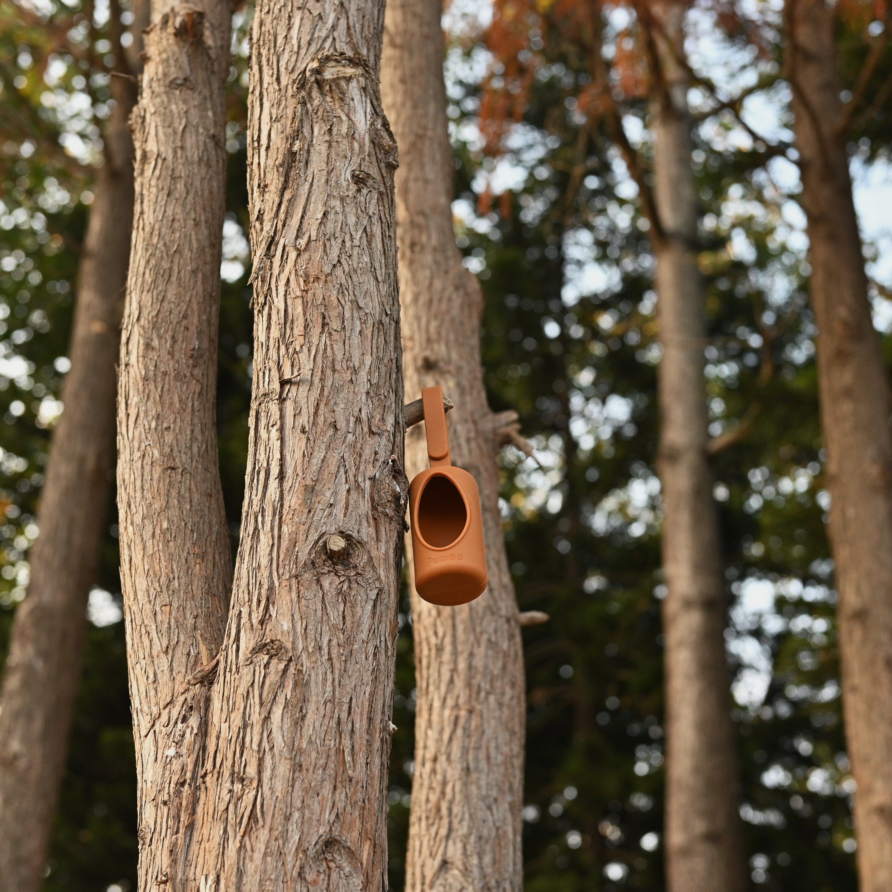 Pawos Essential Walk Kit