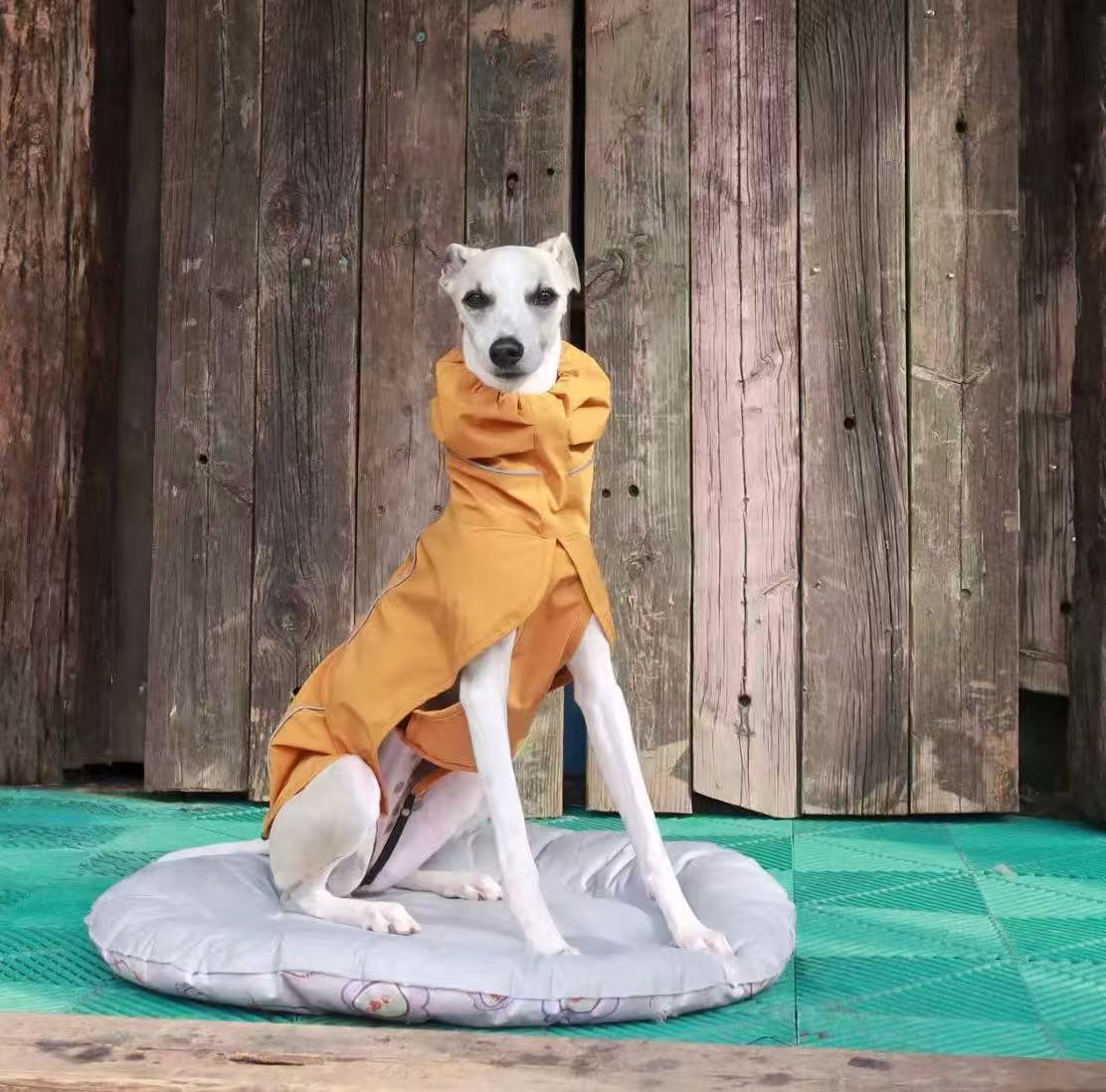 SilentGuard Dog Raincoat