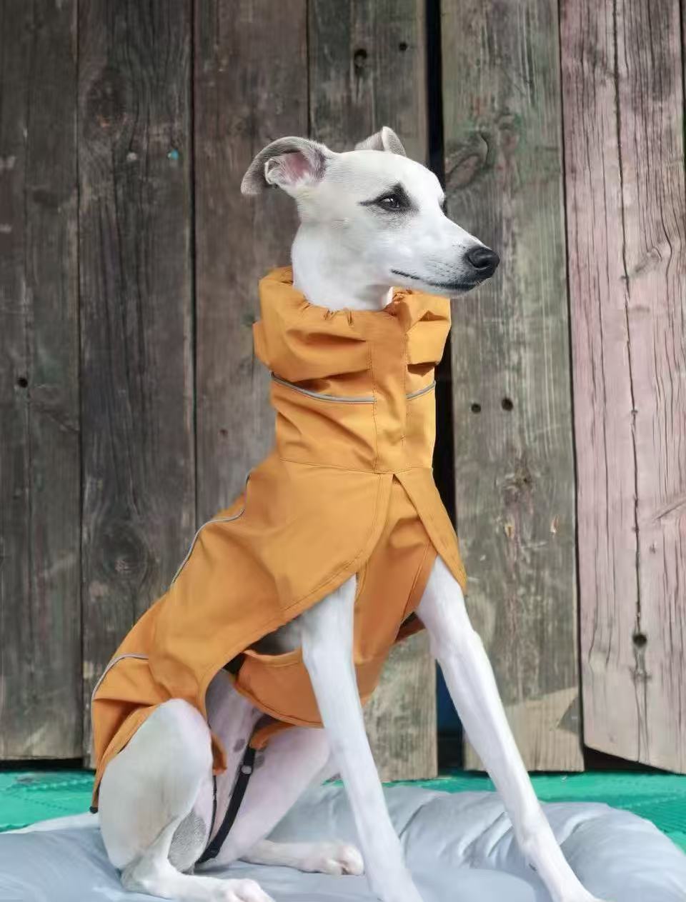 SilentGuard Dog Raincoat